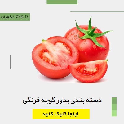 دسته بندی بذور گوجه برگمن 