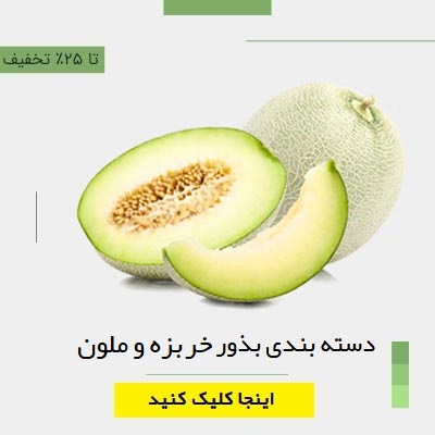 دسته بندی بذور خربزه و ملون برگمن