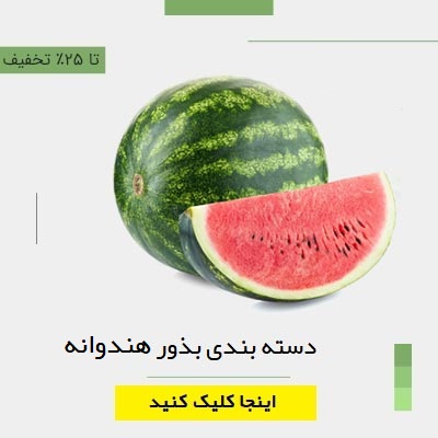 دسته بندی بذور هندوانه برگمن